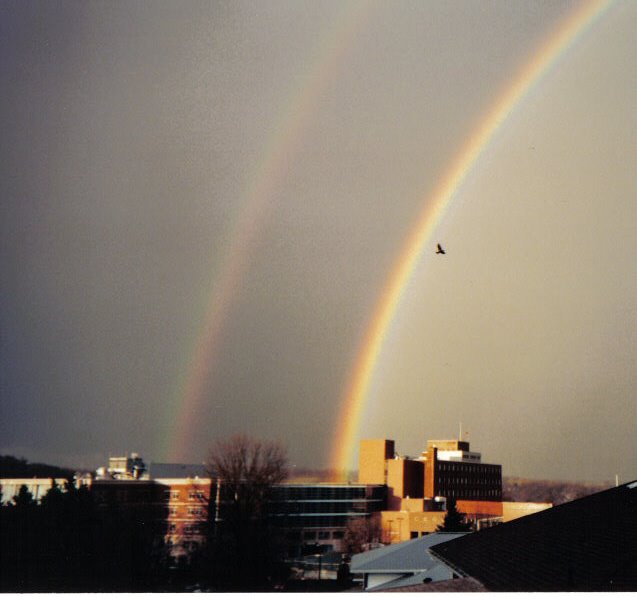 latrobe rainbow