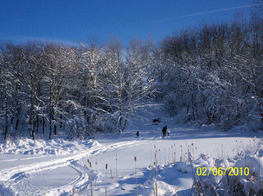 Sled riding at Hillside Park