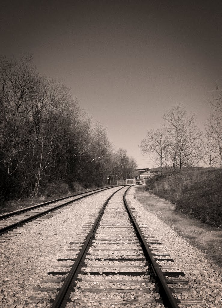 Rails to Lehigh Specialty Melting