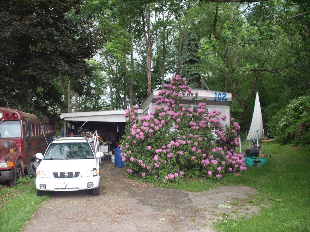 Home of WildLatinLLC