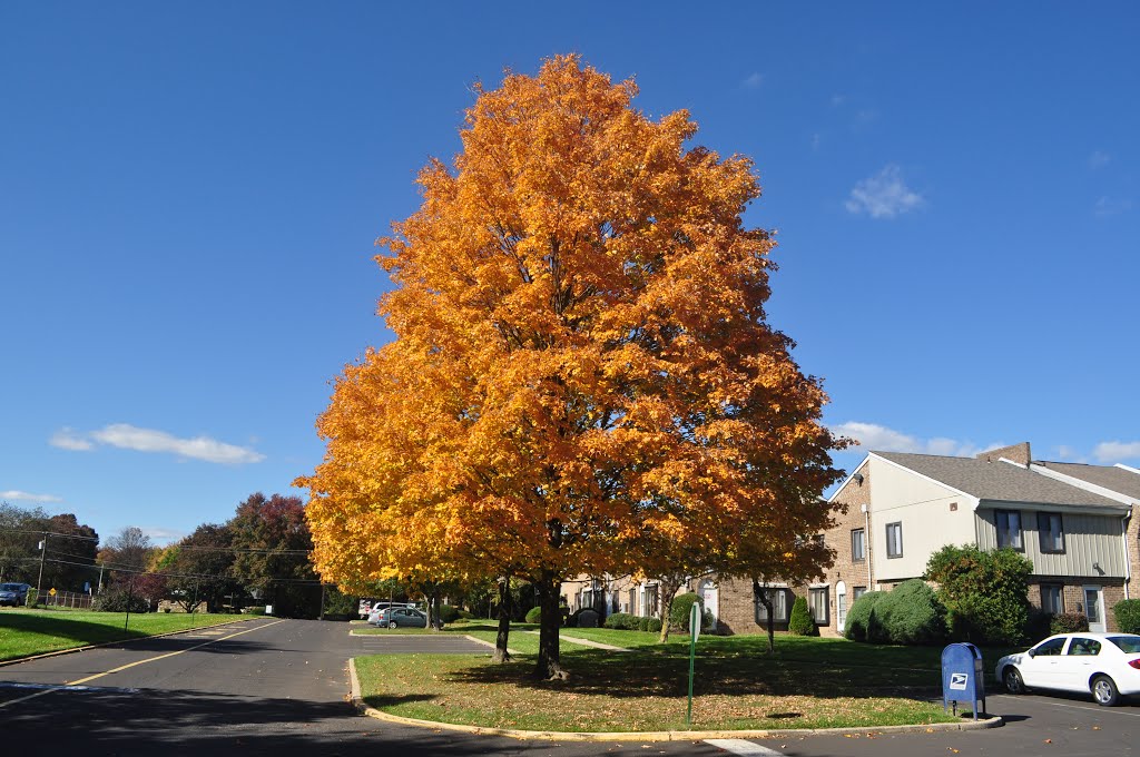Middletown Trace Apartments (Fall 2012)
