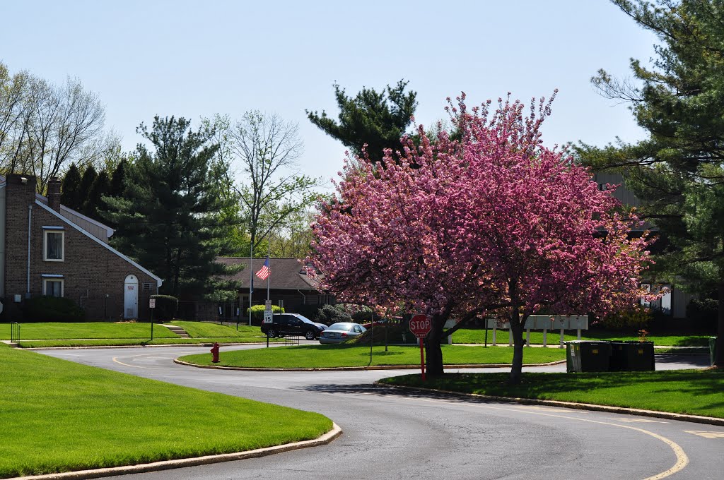 Middletown Trace Spring 2013