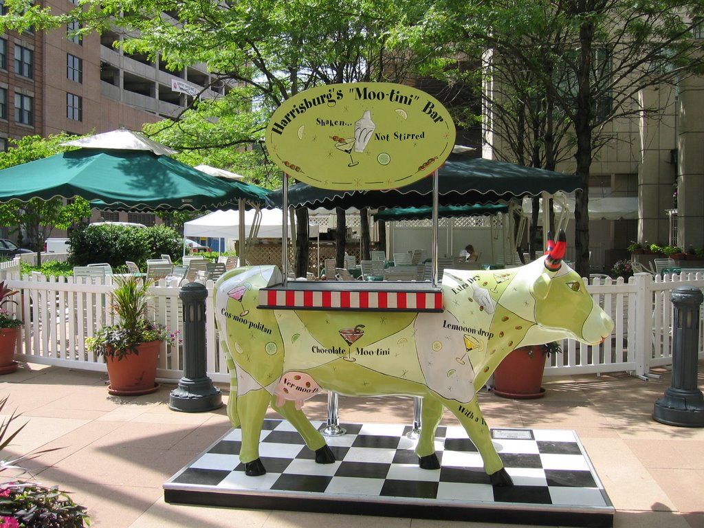 Harrisburgs Moo-tini Bar (2)
