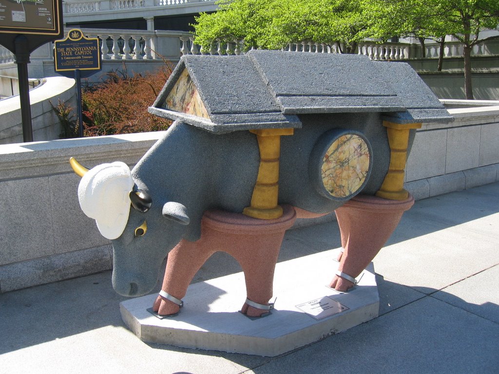 Holly Cowstruction (1)