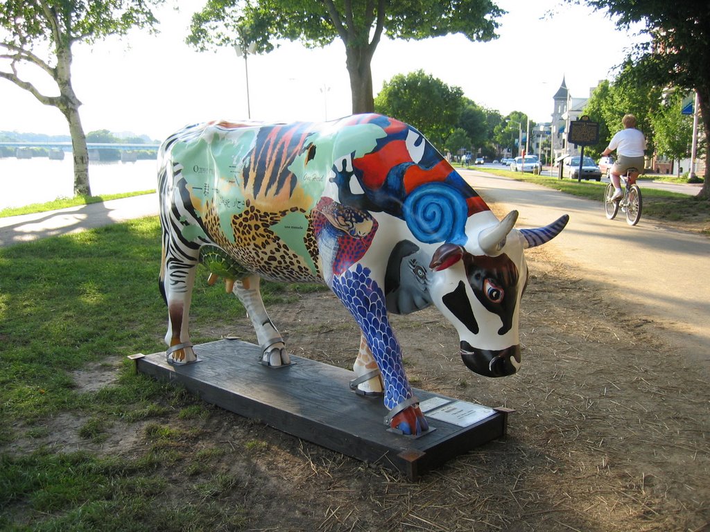 One Herd (1)