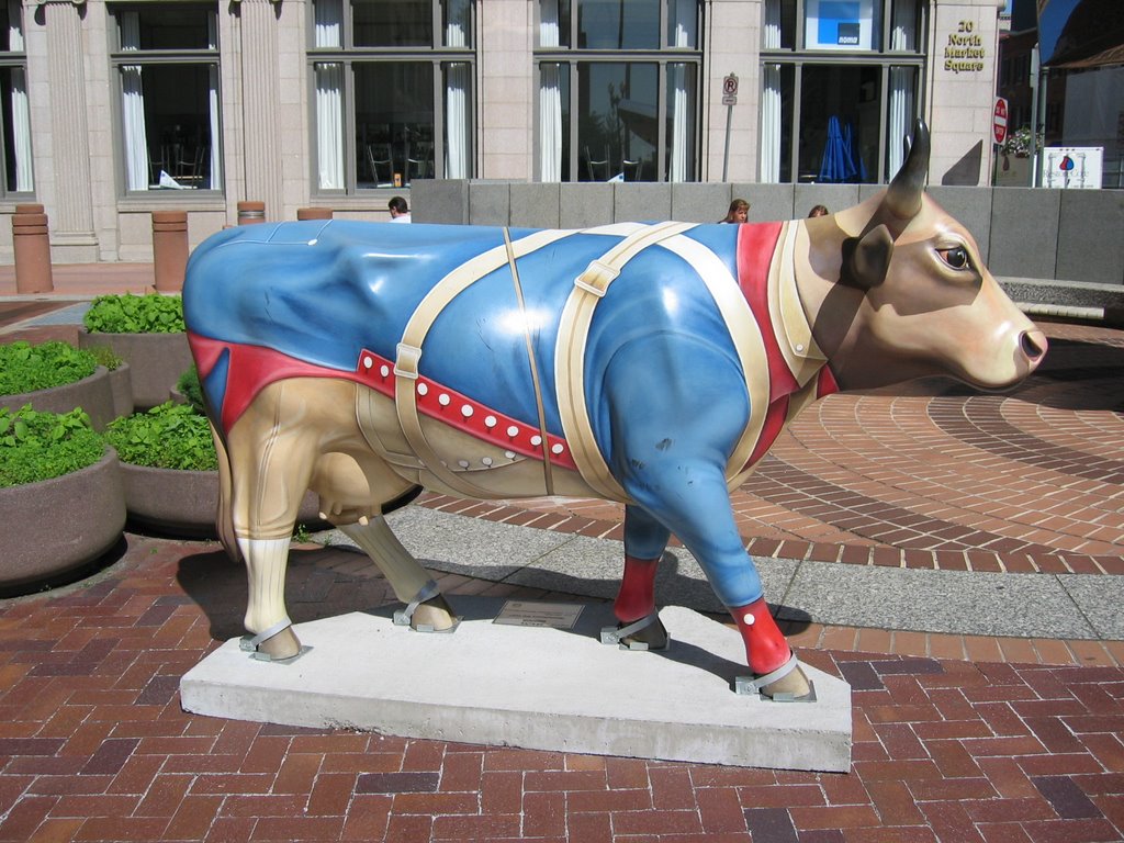 Revolutionary War Cow (1)