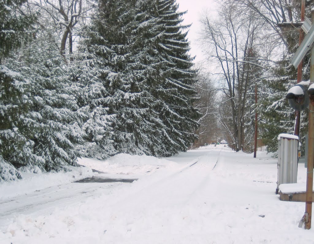 UCIR tracks heading north from University Avenue, February 2010