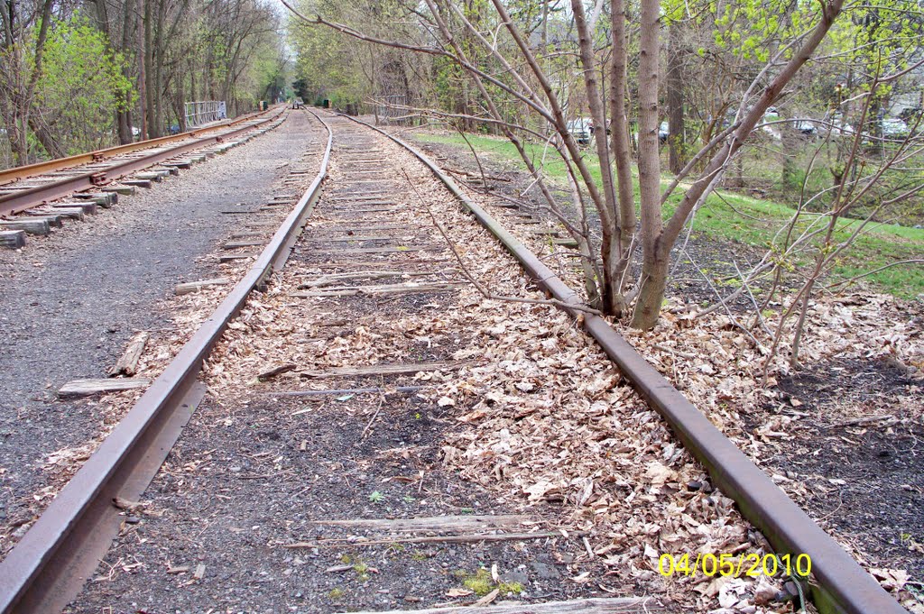 Abandoned Siding