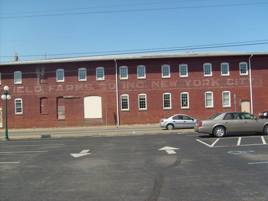 Sheffield Farms Co, Inc, New York City in PA. I found this building at 130 E BUFFALO RD. LEWISBURG, PA.  There is access to some railroad track in the rear.