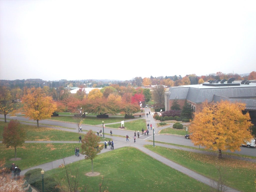 bucknell university