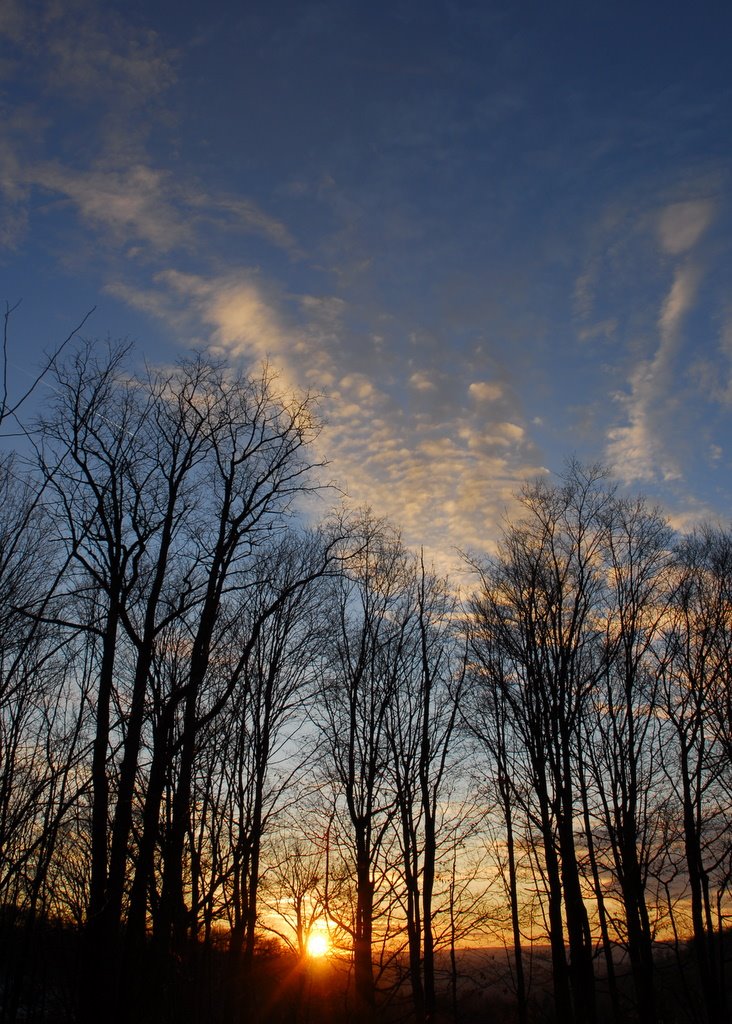 Sunset on Young Street #3