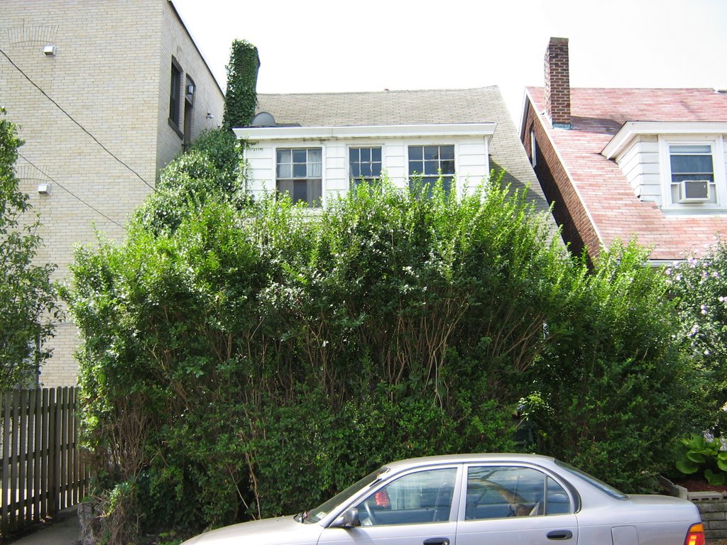 805 Woodward