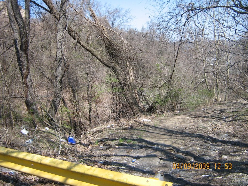 "Walk trail" needs steps and cleanup