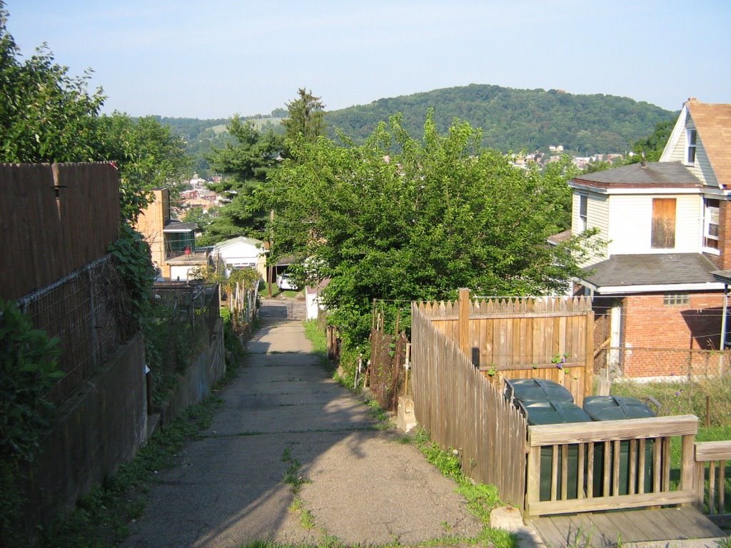 ALLEY BEHIND MCKINNIE