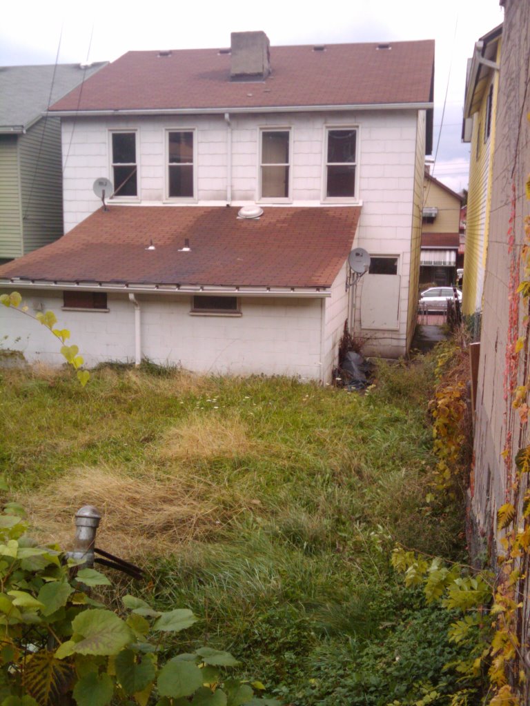 Overgrown Yard