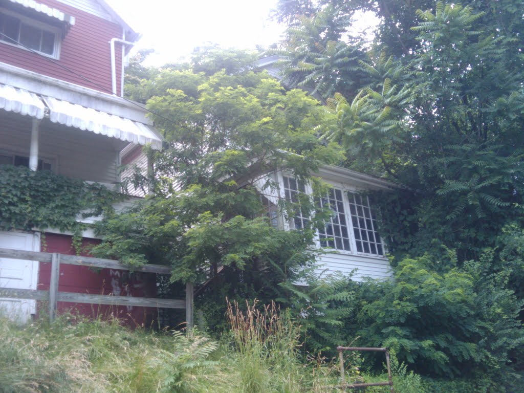 Allen st