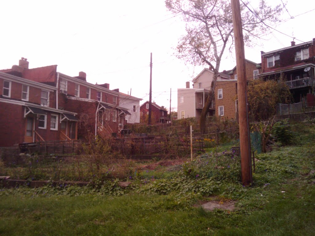 Why cant someone improve their backyard., please.