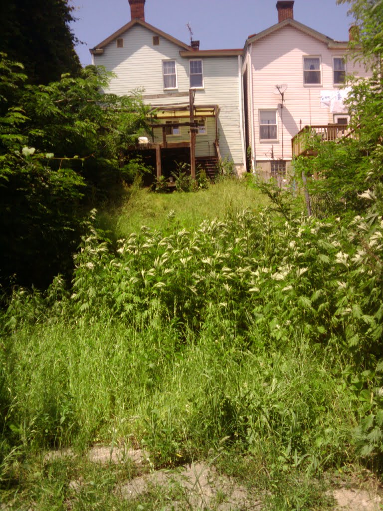 Cut yo Grass!