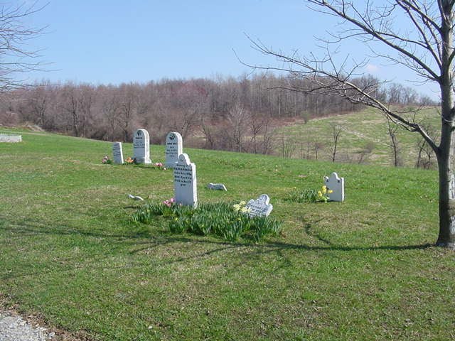 Rose Graveyard