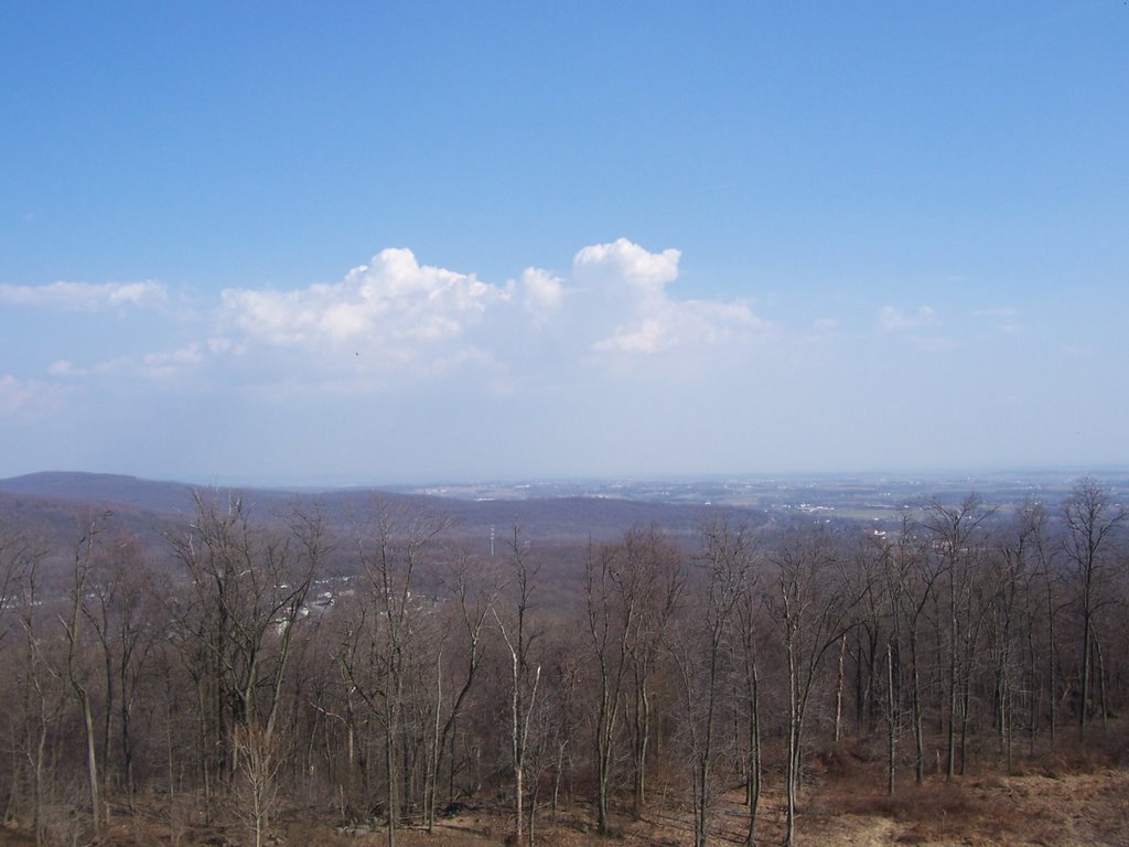 View from Governor Dick Tower, ESE
