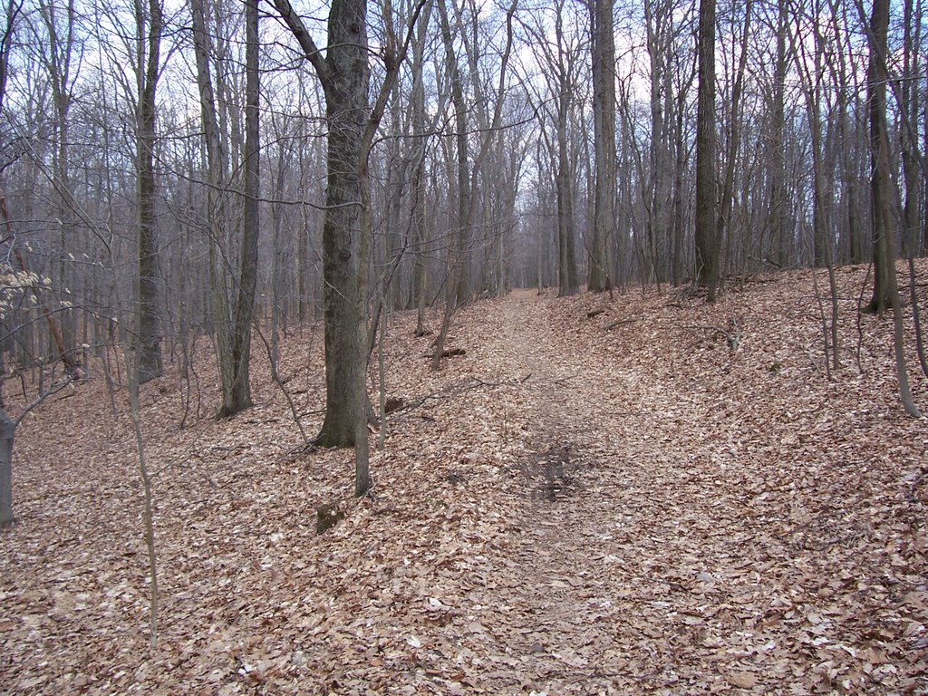 Horse-Shoe Trail on Governor Dick
