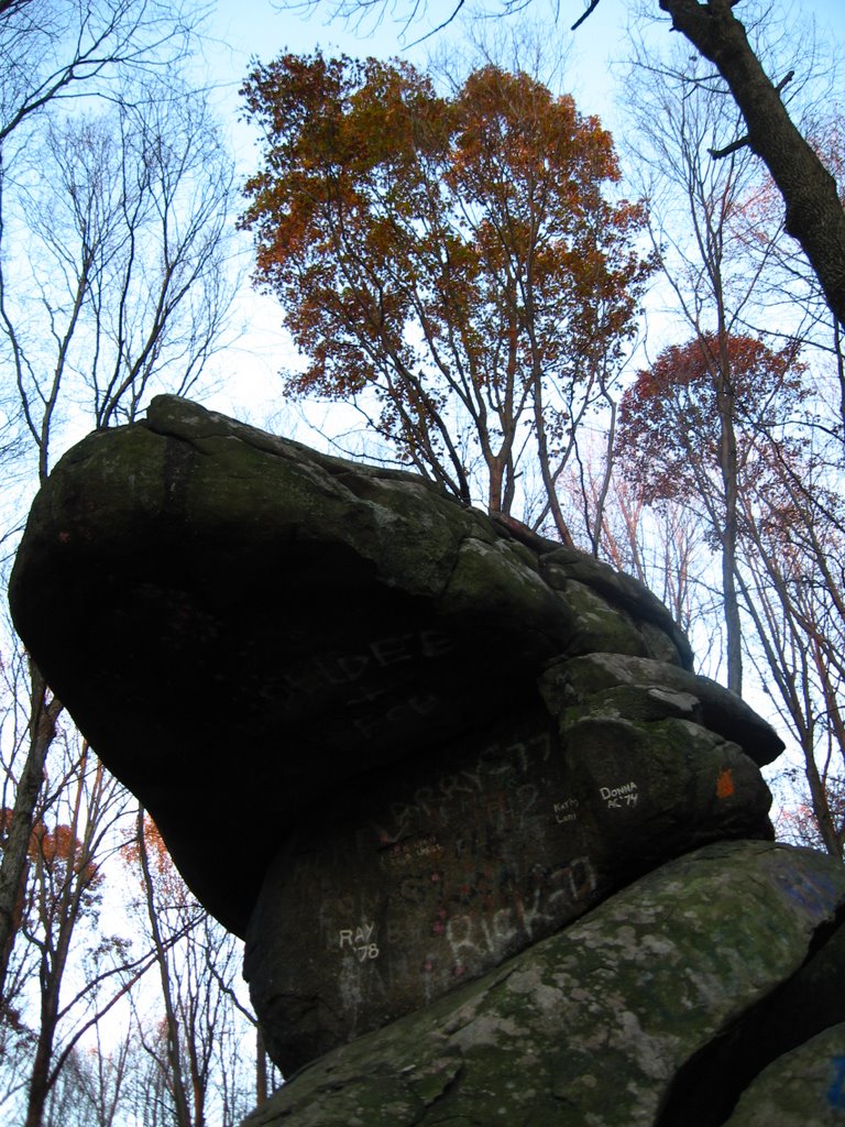 Underneath Dinosaur Rock