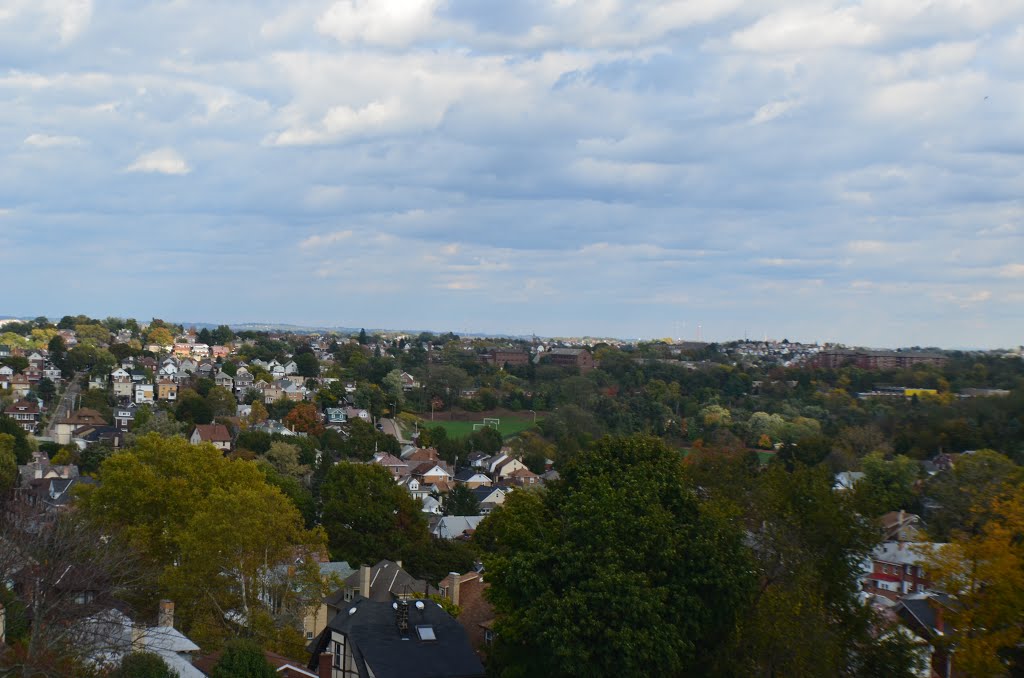 Dormont Hills