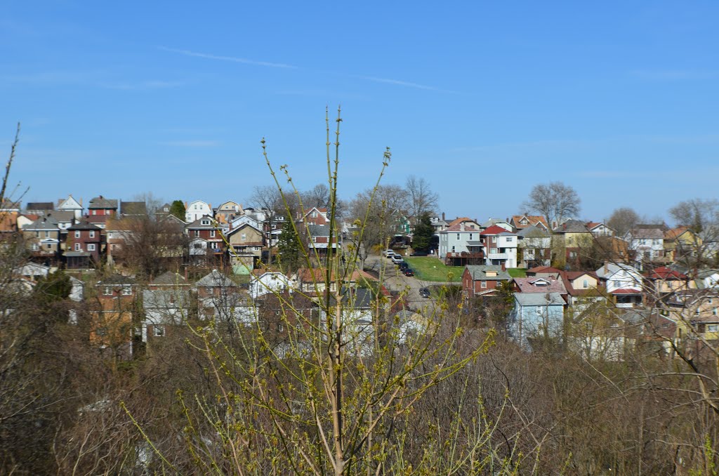 Brookline Houses