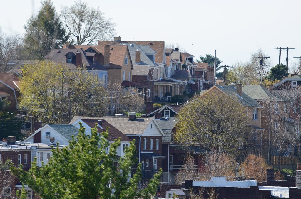 Dormont Hills