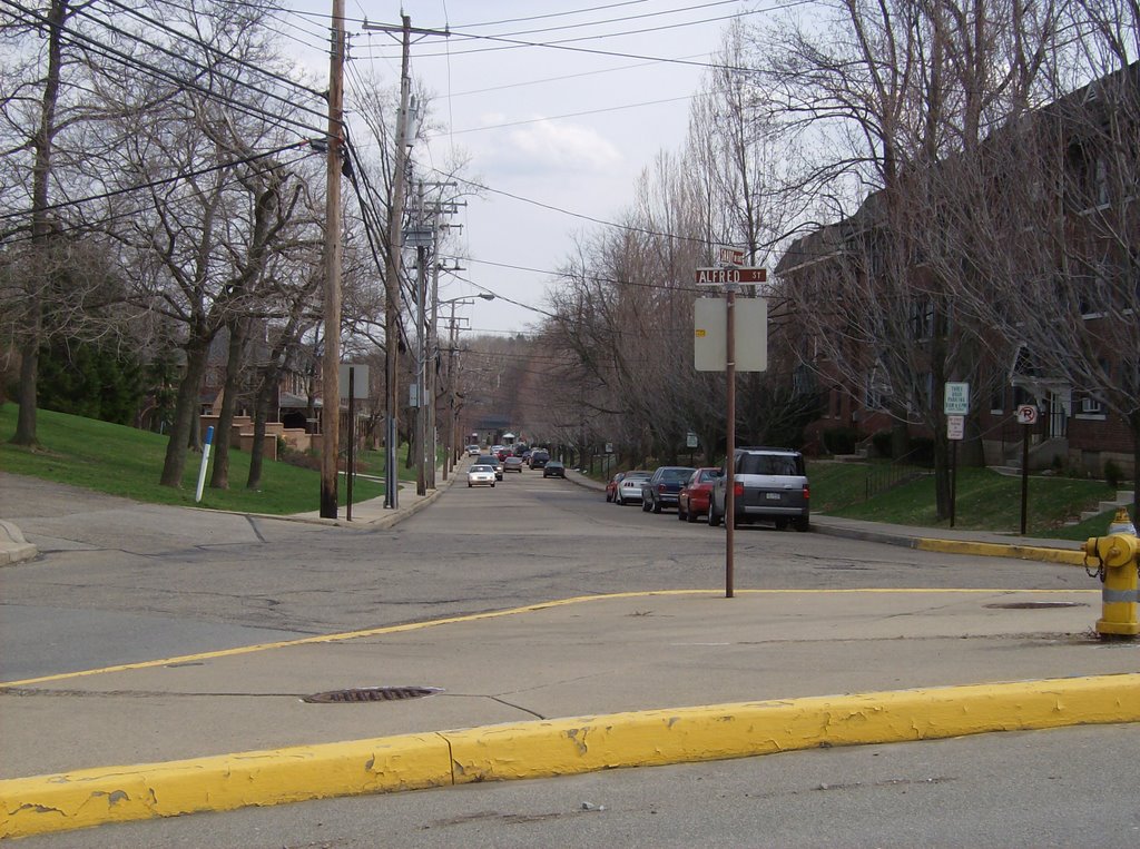 The Corner at Alfred