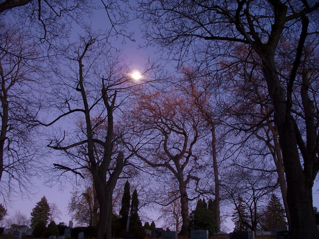 Bright Moon