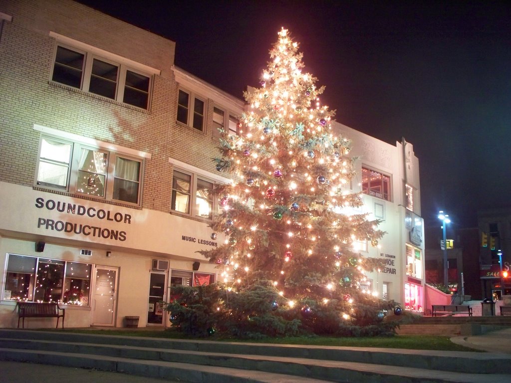 Mt. Lebanon Uptown Christmas Tree