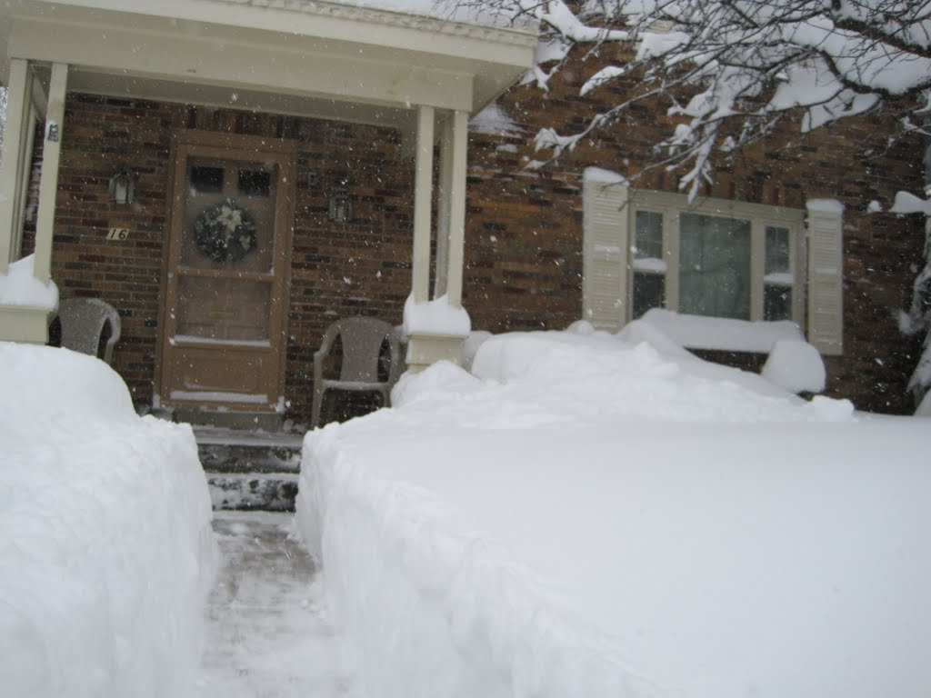 Too Much Snow