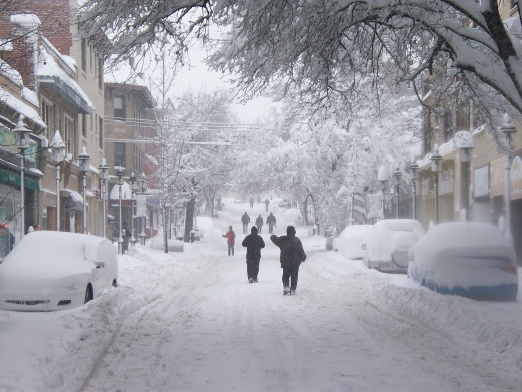 Potomac Avenue in blizzard