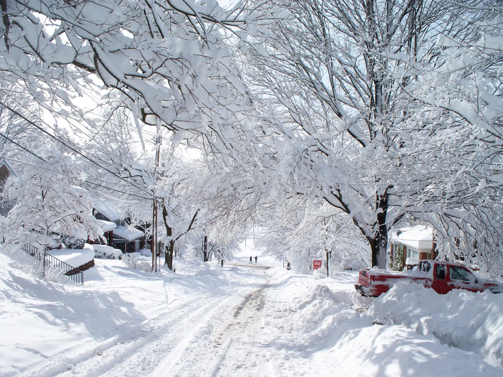 Academy Avenue in blizzard
