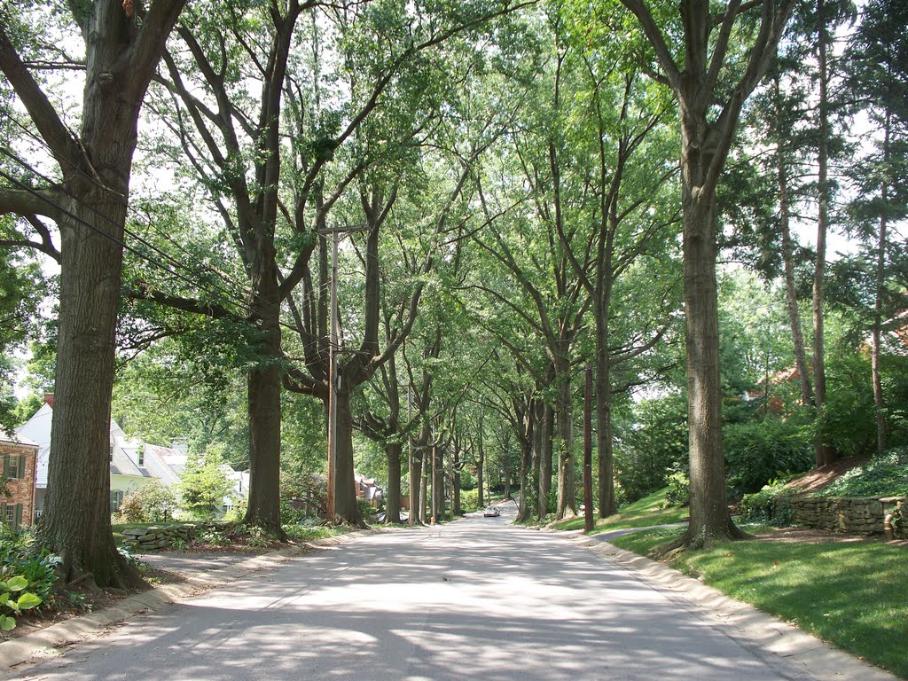 Austin Avenue