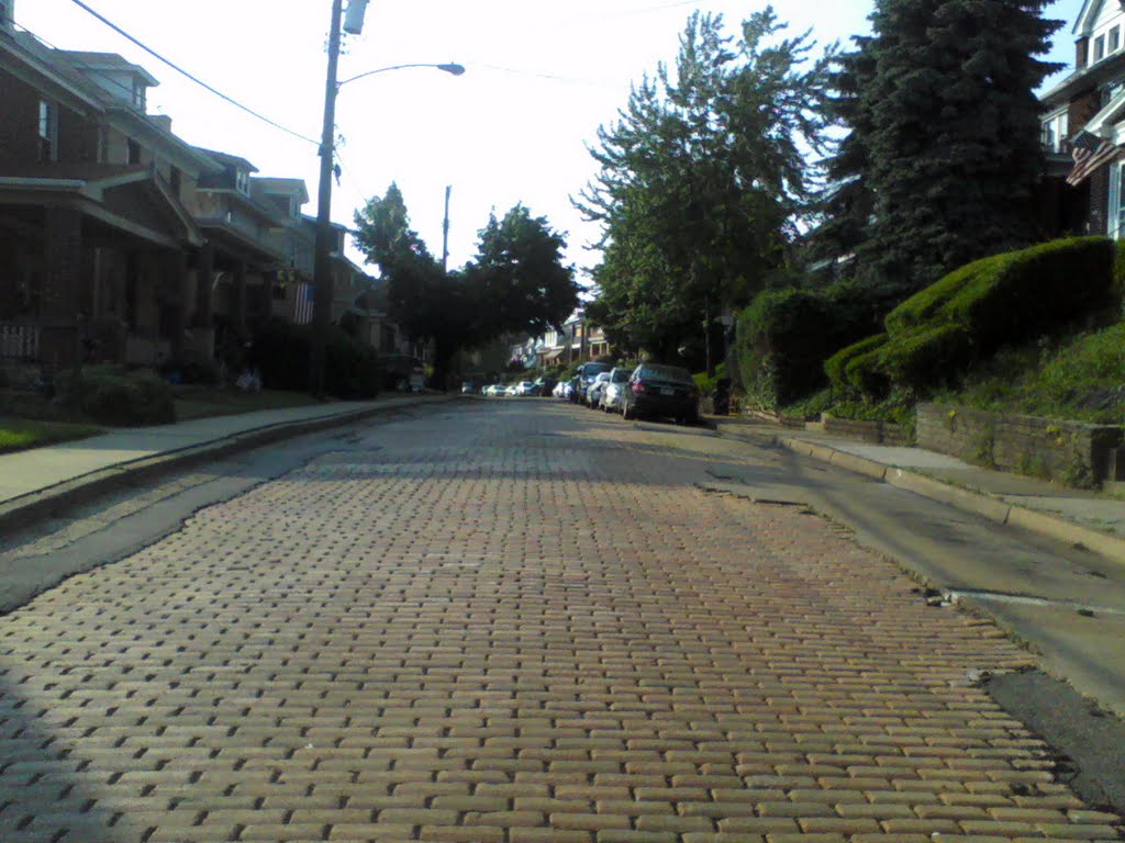 Lonely day