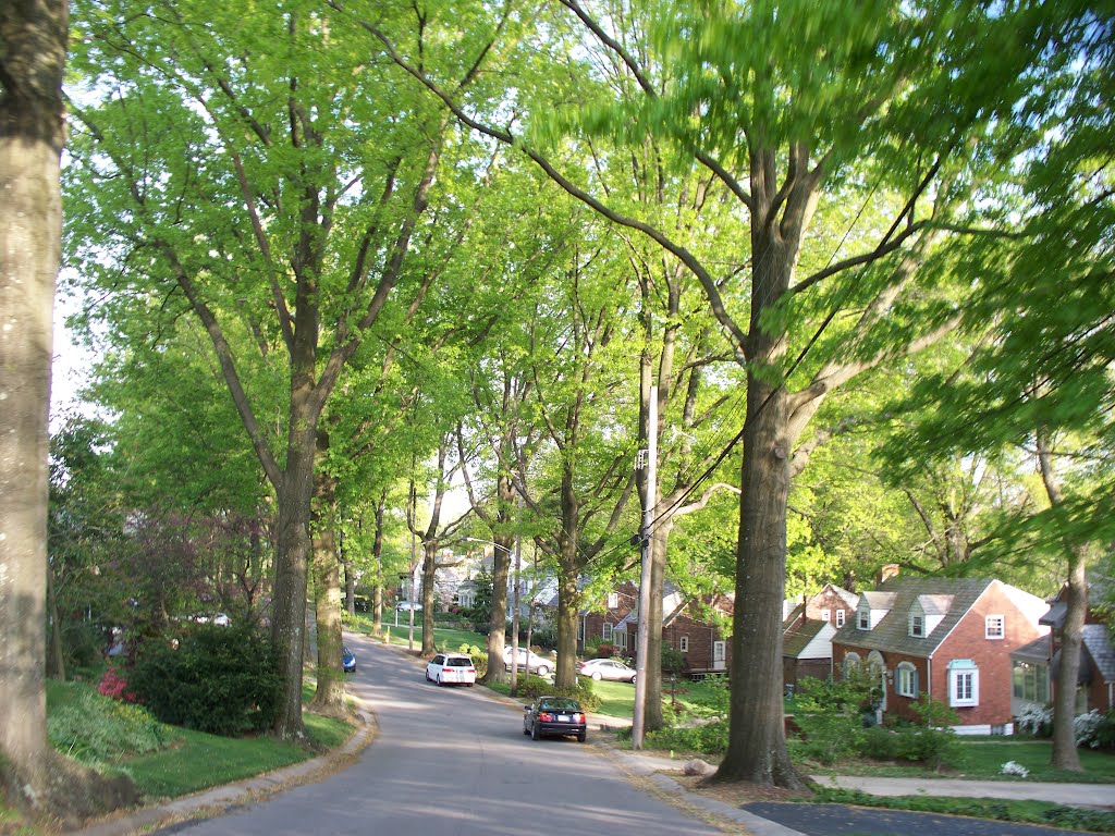Austin Avenue