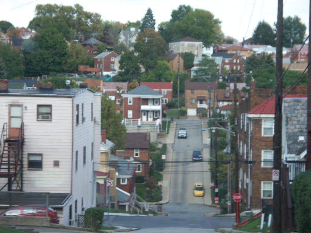 Annex Avenue