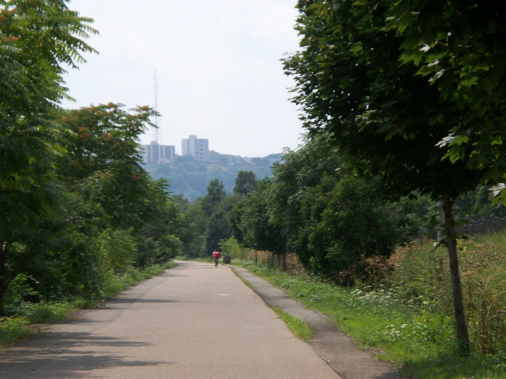 Great Allegheny Passage