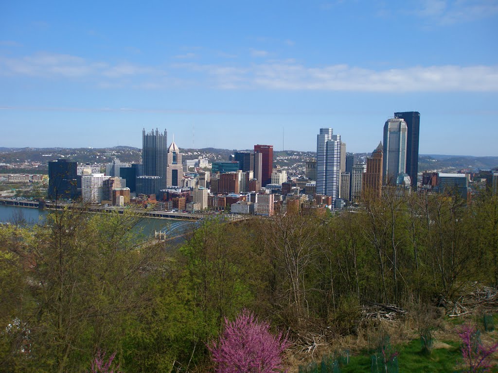 Skyline from Ridge overlooking Pitt