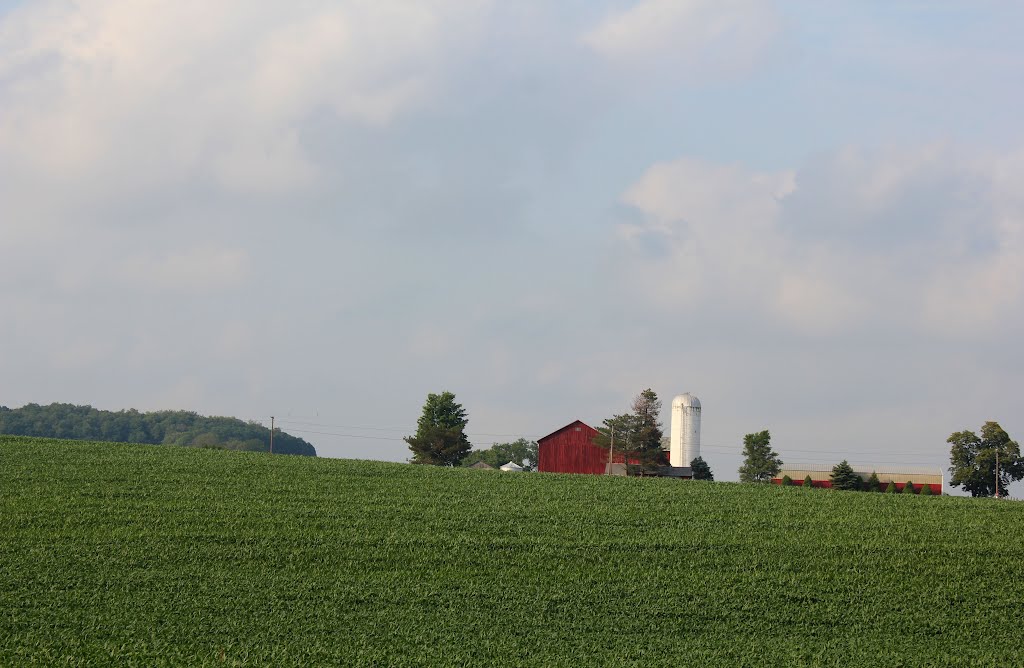 Farmland
