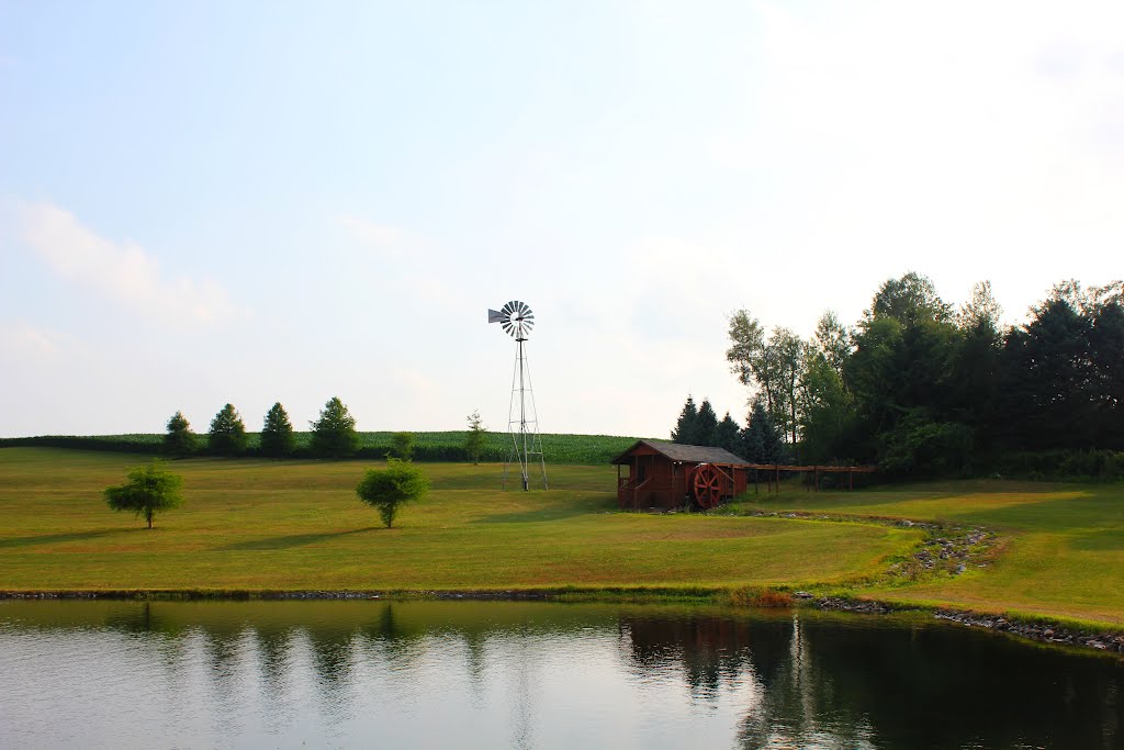 Windmill and Waterwheel