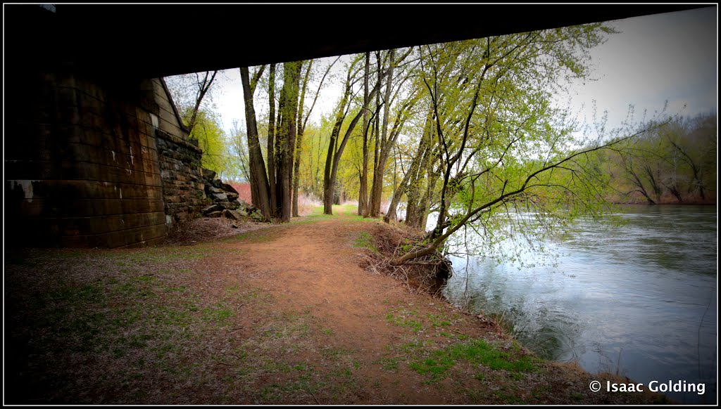Under the Railroad Bridge @ Milton State Park