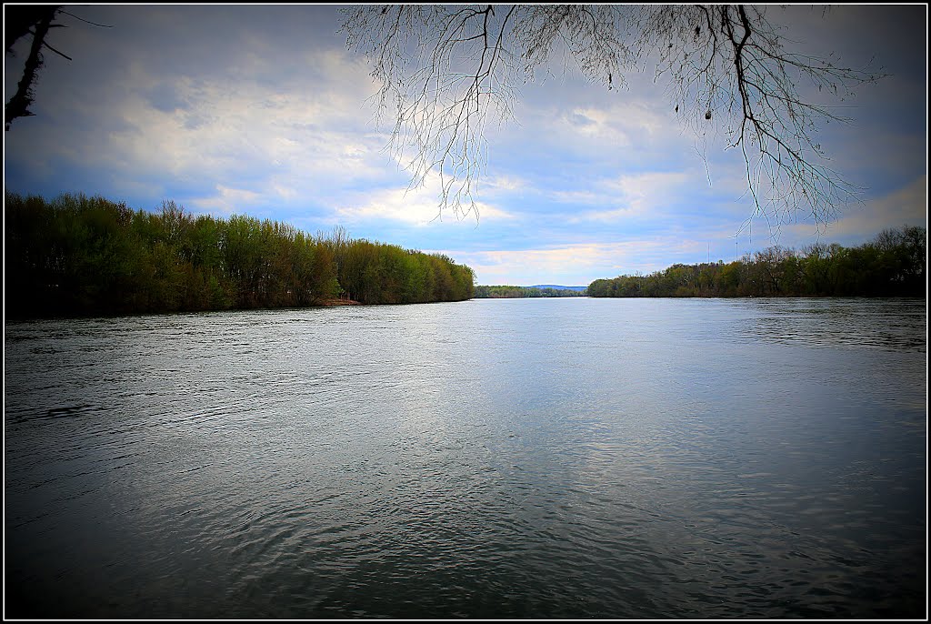 Looking south from the Milton State Park Island