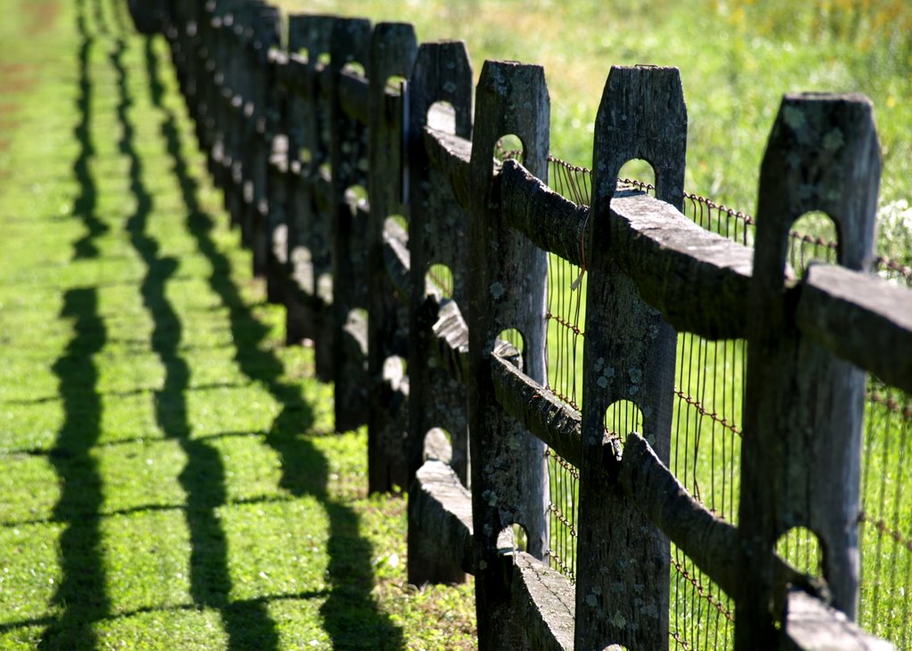 Fence Shadows