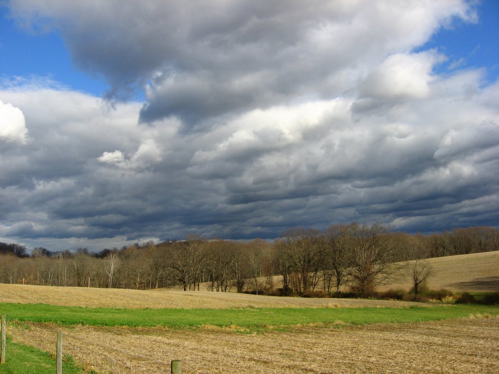Chester County Fields