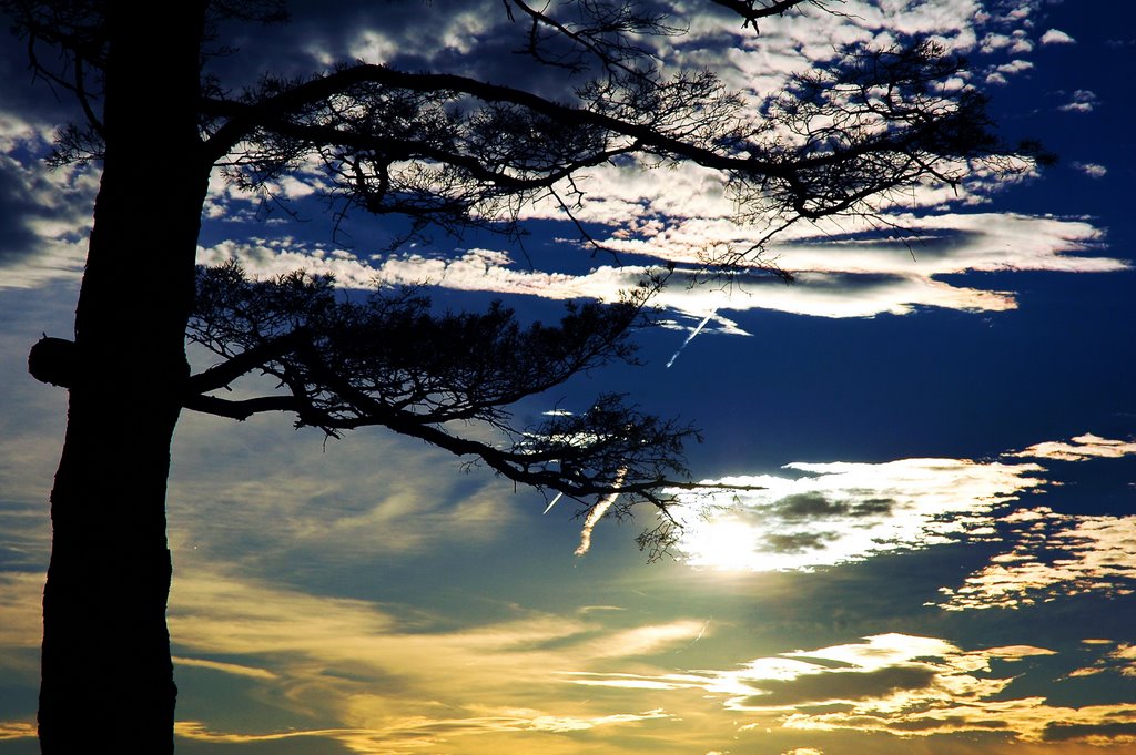 Just before sunset