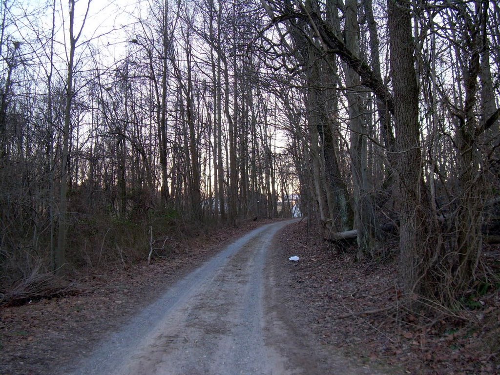 Lost Trail Road