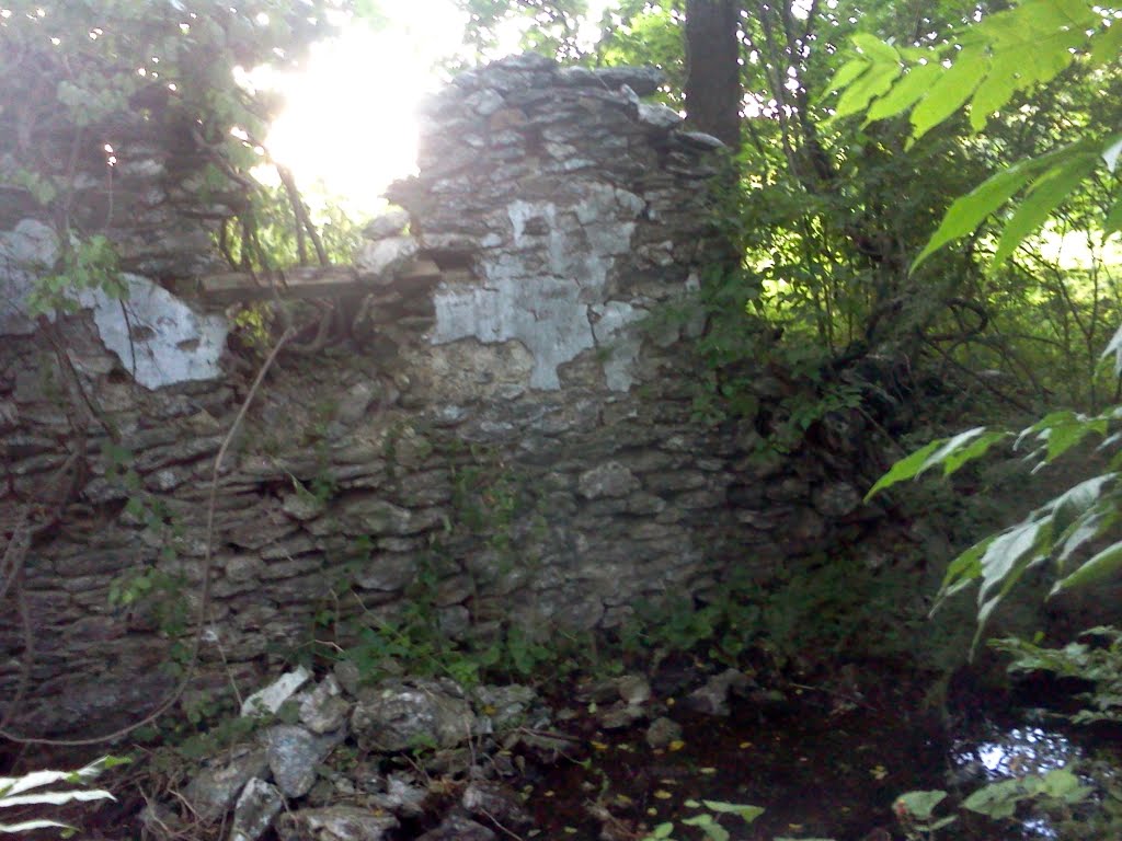 Spring House